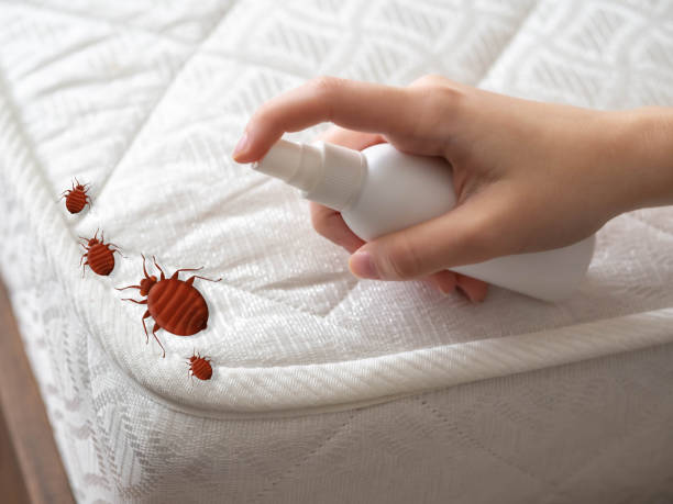 Emergency Pest Control in Westminster, LA